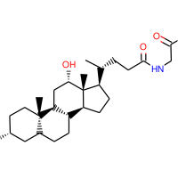 Cholic Acid Impurity 22|C4X-116022|360-65-6