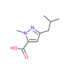 3-Isobutyl-1-methyl-1H-pyrazole-5-carboxylic acid|CS-0061034|769132-77-6
