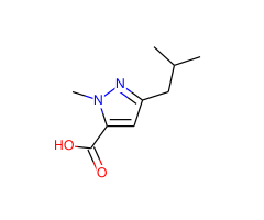 3-Isobutyl-1-methyl-1H-pyrazole-5-carboxylic acid|CS-0061034|769132-77-6
