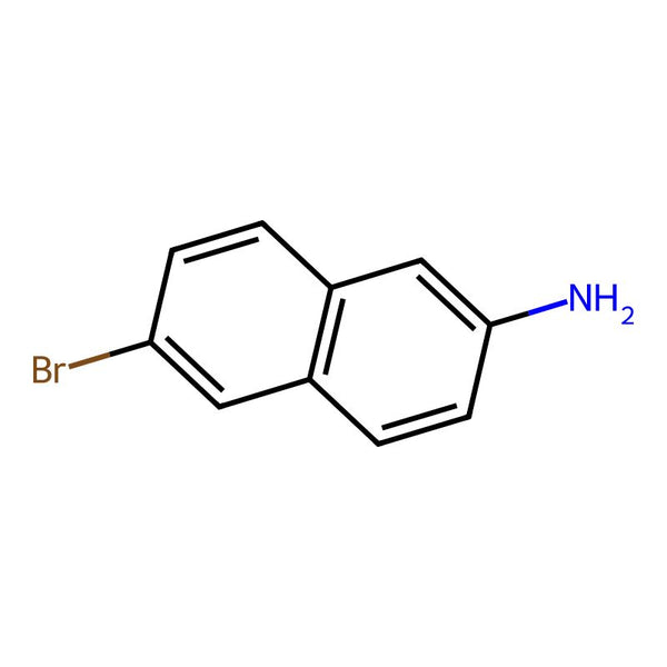 6-Bromonaphthalen-2-amine|CS-W001636|7499-66-3