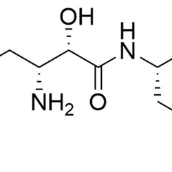 N-[(2S,3R)-3-Amino-2-hydroxy-4-phenylbutyryl]-L-leucine|31886|58970-76-6