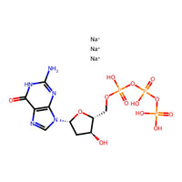 2′-Deoxyguanosine 5′-triphosphate trisodium salt, 99%, 100 mM|9332596|93919-41-6