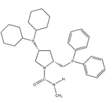 (2R,4R)-(+)-2-(Diphenylphosphinomethyl)-4-(dicyclohexylphosphino)-N-methyl-1-pyrrolidinecarboxamide, min. 95% (R,R-MCCPM)|15-7224|122709-72-2