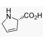 3,4-Dehydro-L-proline|02563|4043-88-3