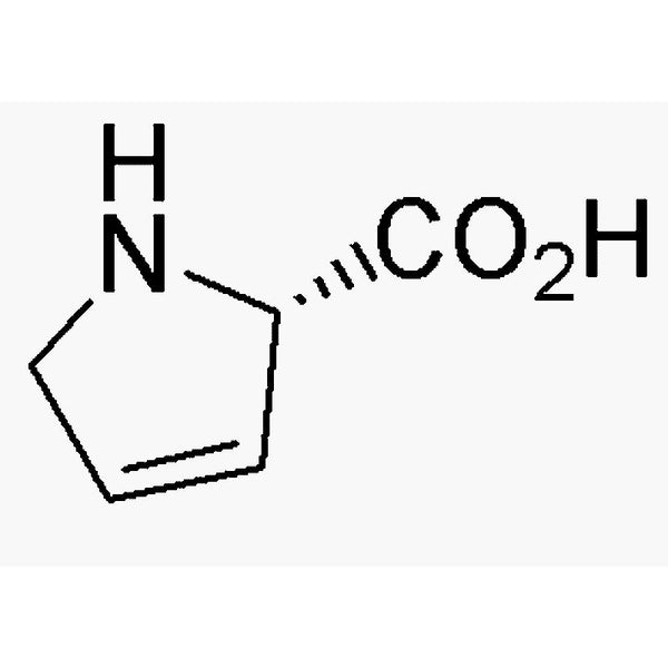 3,4-Dehydro-L-proline|02563|4043-88-3