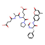 Suc-Ala-Glu-Pro-Phe-AMC|32648|142997-30-6