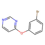 4-(3-Bromophenoxy)pyrimidine, 95%|07-0185|315189-72-1