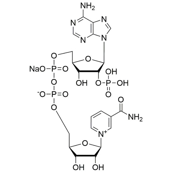 b-Nicotinamide adenine dinucleotide phosphate sodium salt|38876|1184-16-3