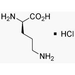 D-Ornithine hydrochloride|00237|16682-12-5