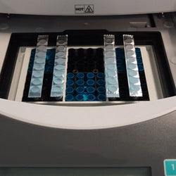 EZcap FoilStrips, 50.8um,DNase&RNase free,Application: standard PCR,storage,light sensitive assays and robotics, Temperature Range: -80℃ to 120℃, 300 strips/case|61-0304