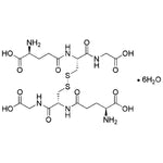 L-Glutathione Oxidized Hexhydrate|29800|121-24-4