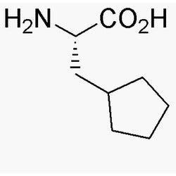 b-Cyclopentyl-L-alanine|06233|99295-82-6