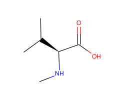 N-Methyl-L-valine|CS-0010219|2480-23-1