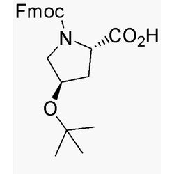 Fmoc-O-tert-butyl-L-trans-4-hydroxyproline|02424|122996-47-8
