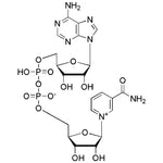 b-Nicotinamide adenine dinucleotide|00229|53-84-9