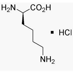 D-Lysine hydrochloride|00204|7274-88-6