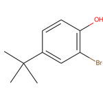 2-Bromo-4-tert-butylphenol|CS-W002958|2198-66-5