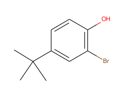 2-Bromo-4-tert-butylphenol|CS-W002958|2198-66-5