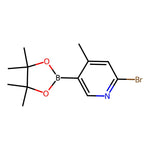 2-Bromo-4-methyl-5-(4,4,5,5-tetramethyl-1,3,2-dioxaborolan-2-yl)pyridine|CS-0437252|1309982-23-7
