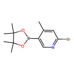 2-Bromo-4-methyl-5-(4,4,5,5-tetramethyl-1,3,2-dioxaborolan-2-yl)pyridine|CS-0437252|1309982-23-7