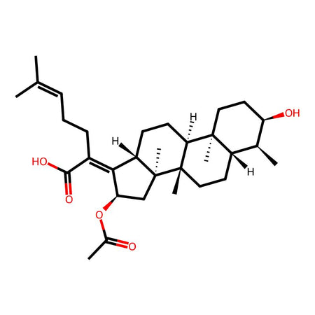 Sodium Fusidate EP Impurity M|C4X-119713|1013937-16-0