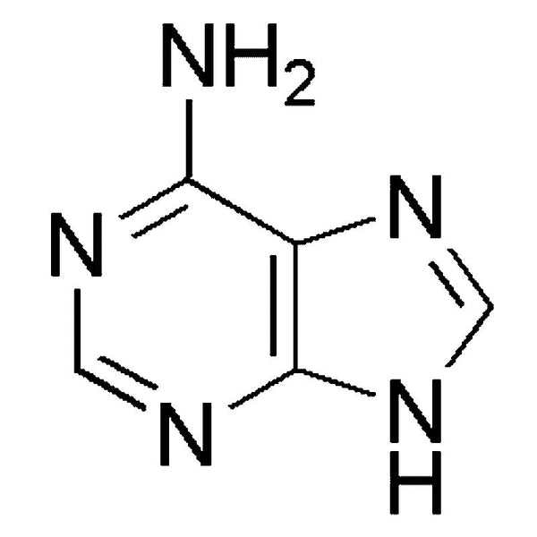 Adenine, low endotoxin =0.2 EU/mg|30777|73-24-5