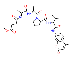 MeOSuc-Ala-Ala-Pro-Val-AMC|CPTD786111|72252-90-5
