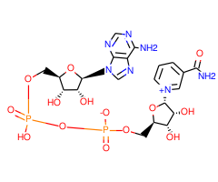 a-Nicotinamide adenine dinucleotide, yeast|42085|7298-93-3