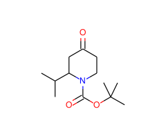 1-N-Boc-2-Isopropylpiperidin-4-one|CS-D0319|313950-41-3