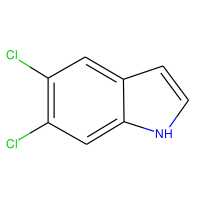 5,6-Dichloro-1H-indole|CS-W019826|121859-57-2