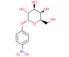 4-Nitrophenyl α-D-galactopyranoside, 98%|114217|7493-95-0