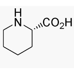 L-Homoproline|03414|3105-95-1