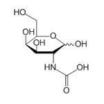 N-Acetyl-D-galactosamine, 98%|CS-0100924|14215-68-0