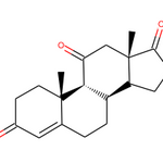 Adrenosterone|38710|382-45-6