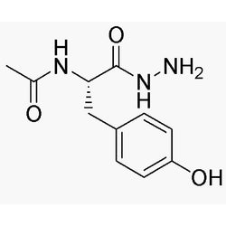 Acetyl-L-tyrosine hydrazide|04401|2381-07-9