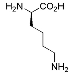 D-Lysine|21332|923-27-3