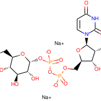 Uridine-5ʹ-diphosphoglucose disodium salt, 95%|542767|117756-22-6