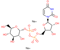  Uridine-5ʹ-diphosphoglucose disodium salt, 95%|542767|117756-22-6