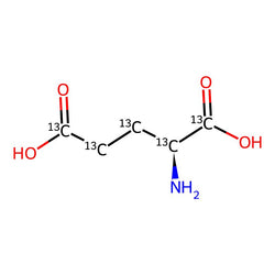 L-GLUTAMIC ACID-13C5|CCFD202032|55443-55-5
