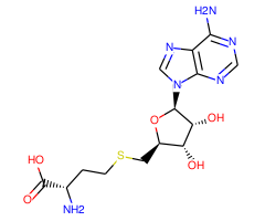 S-(5'-Adenosyl)-L-homocysteine|C4X-13813|979-92-0