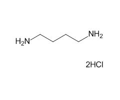 1,4-Diaminobutane dihydrochloride, 98%|137659|333-93-7