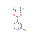 2-Bromo-4-(4,4,5,5-tetramethyl-1,3,2-dioxaborolan-2-yl)pyridine|CS-W012246|458532-82-6