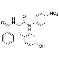 Benzoyl-L-tyrosine 4-nitroanilide|04502|6154-45-6
