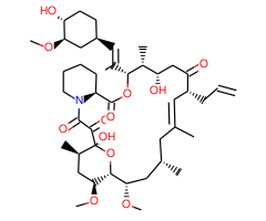 Tacrolimus|C4X-1300|104987-11-3