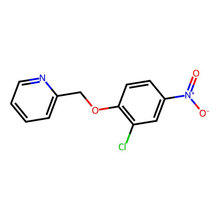 2-[(2-Chloro-4-nitrophenoxy)methyl]pyridine|C1391398|179687-79-7