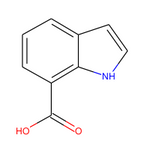 Indole-7-carboxylic acid