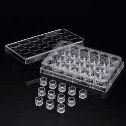 SPLInsert? Standing, 12 Inserts/24 well plate, PC, 8μm, Growth Area 0.60?, 0.2~0.6ml, Transparent, Sterile|35524