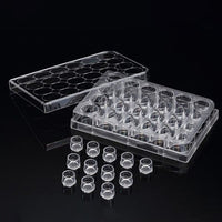 SPLInsert? Standing, 12 Inserts/24 well plate, PET, 8μm, Growth Area 0.60?, 0.2~0.6ml, Transparent, Sterile|37524