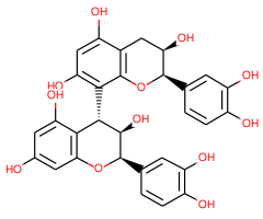 Procyanidin B2, 98%|585111|29106-49-8