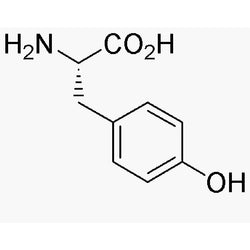 L-Tyrosine|00304|60-18-4